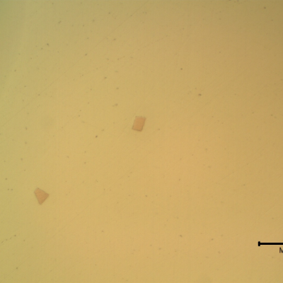 Detail of the non metallic inclusions in the steel. The yellow and black colours and morphologies suggest Ti base and oxides.