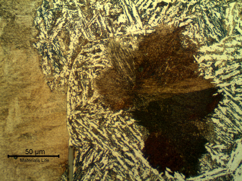 Micrographic detail of the pearlitic structure in the center of the shaft thickness.