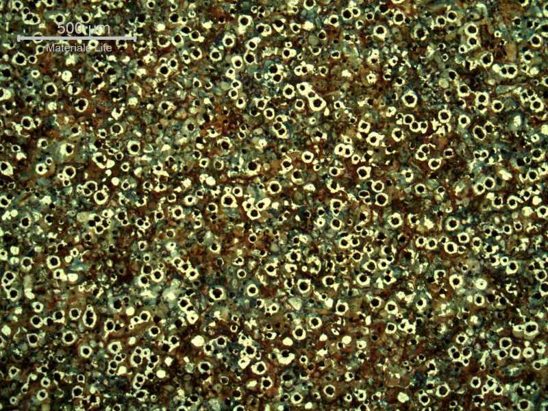 Micrography of the crankshaft in the center of the thickness.  The microstructure is nodules of graphite in a ferritic and pearlitic matrix, predominantly pearlitic.