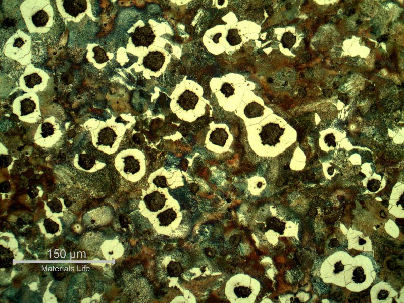Micrography of the crankshaft close to the radio that is not heat treated. Graphite in nodules and a ferritic and pearlitic matrix, predominantly pearlitic.