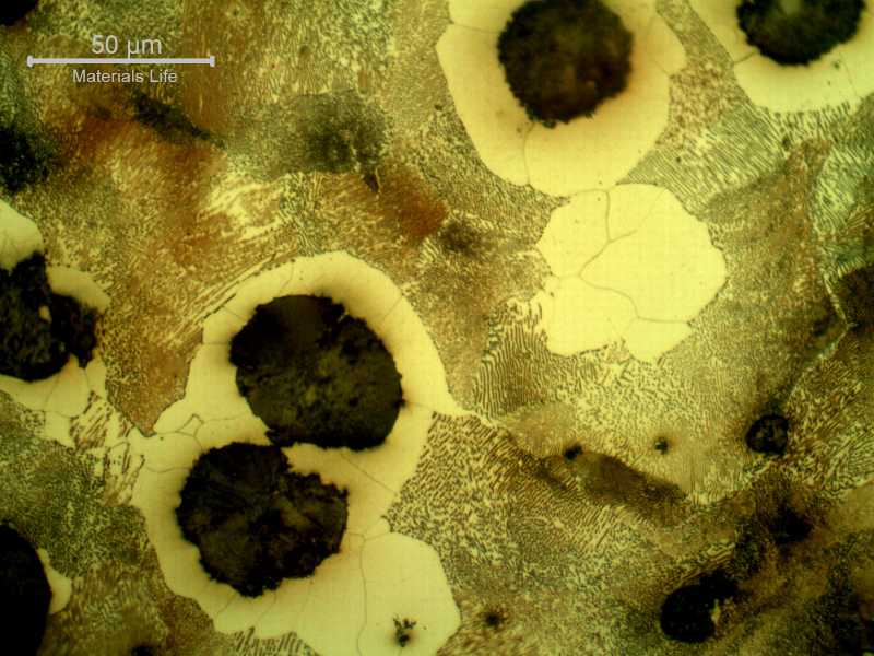 Micrographic detail of the graphite in nodules and a ferritic-pearlitic matrix.