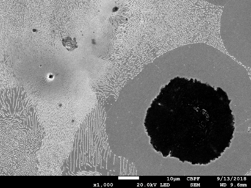 Micrographic detail, by scanning electron microscopy, of the graphite in nodules and a ferritic-pearlitic matrix.