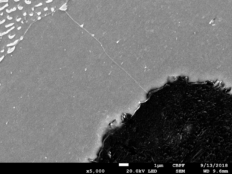 Micrographic detail by scanning electron microscopy, Nital etched, of the ferrite microstructure around a graphite nodule.