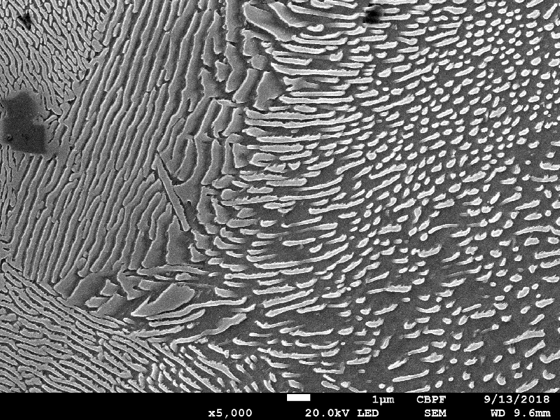 Micrographic detail of the pearlite in the matrix.