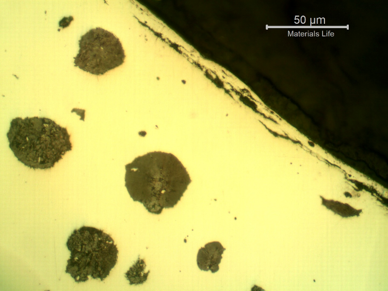 As polished micrographic detail of the graphite in nodules, close to the surface of the shaft edge, in a longitudinal section.