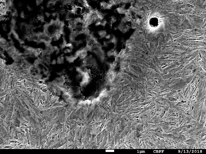 Micrographic detail of the graphite nodule surrounded by martensite.