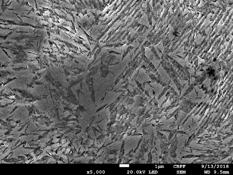 Micrographic detail of the martensite.