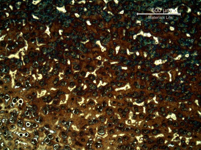 Micrography of the shaft below the heat treated surface, in the middle of the hardened layer.  There is a gradient in the colours.  Hardened surface in the top of the figure and nucleous in the bottom.