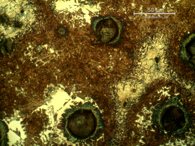 Micrographic detail of the hardened layer, presenting the graphite nodules, brown and yellow martensite regions and white areas of ferrite, close to the nodules.