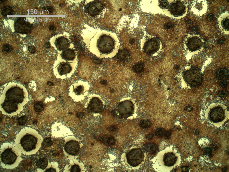 Micrography of the shaft below the heat treated surface.  At this position, close to the limit of the hardened layer , it is possible to see the brown yellow martensite and ferrite around the graphite nodules.