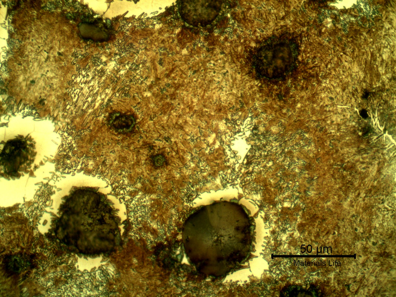 Micrographic detail of the brown yellow martensite and ferrite around the graphite nodules.