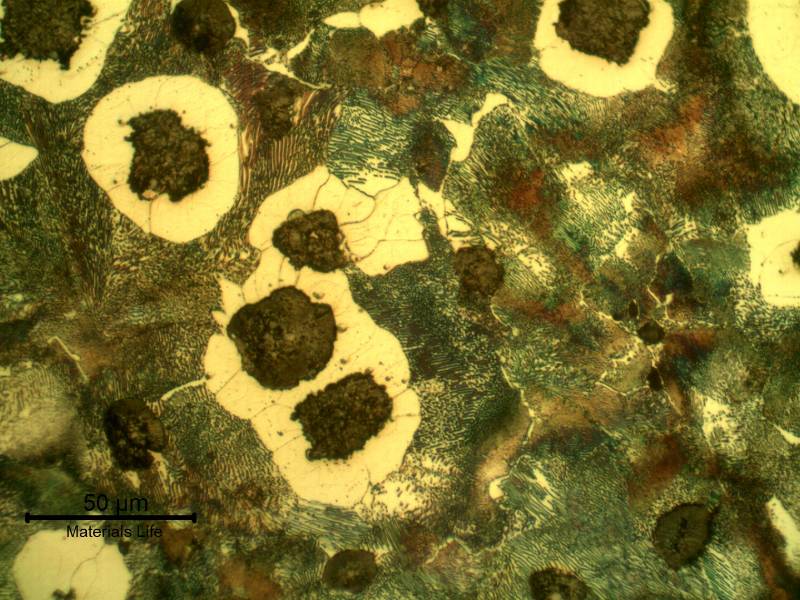 Micrographic detail of the graphite nodules and a ferritic and pearlitic matrix, predominantly pearlitic.