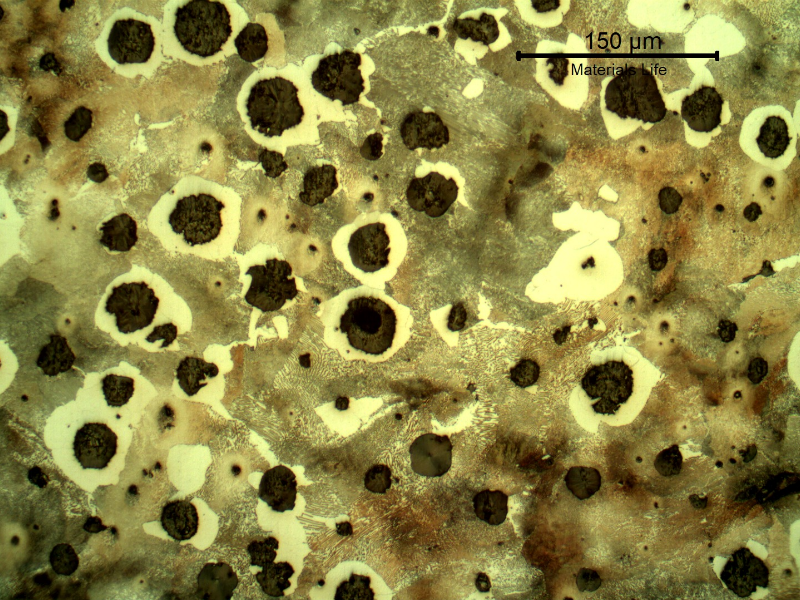 Micrography of the crankshaft in the center of the thickness presenting nodules of graphite in a ferritic and pearlitic matrix, predominantly pearlitic.