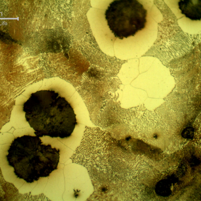 Micrographic detail of the graphite in nodules and a ferritic-pearlitic matrix.