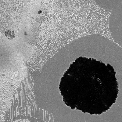 Micrographic detail, by scanning electron microscopy, of the graphite in nodules and a ferritic-pearlitic matrix.