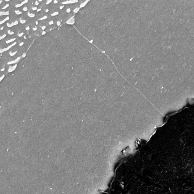 Micrographic detail by scanning electron microscopy, Nital etched, of the ferrite microstructure around a graphite nodule.