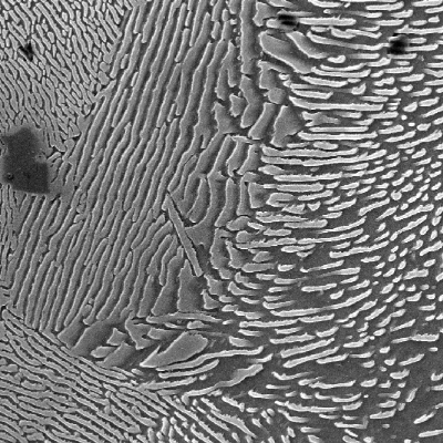 Micrographic detail of the pearlite in the matrix.