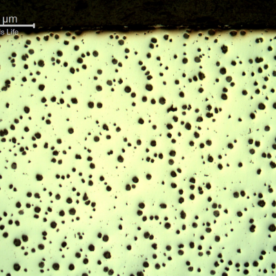 Micrography of a crankshaft longitudinal section at the shaft edge, in the as polished condition, presenting nodular graphite, well distruibuted.