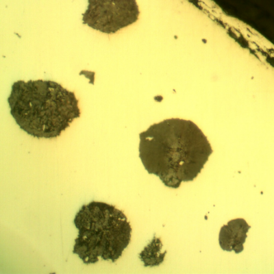 As polished micrographic detail of the graphite in nodules, close to the surface of the shaft edge, in a longitudinal section.