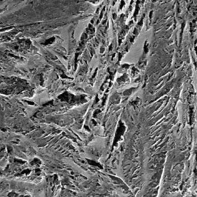 Micrographic detail of the tempered martensite, and small regions (shinning poligons) of austenite-martensite.
