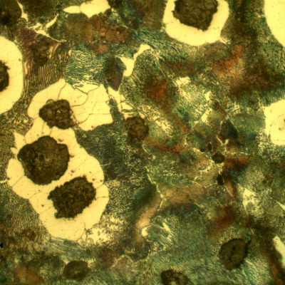 Micrographic detail of the graphite nodules and a ferritic and pearlitic matrix, predominantly pearlitic.