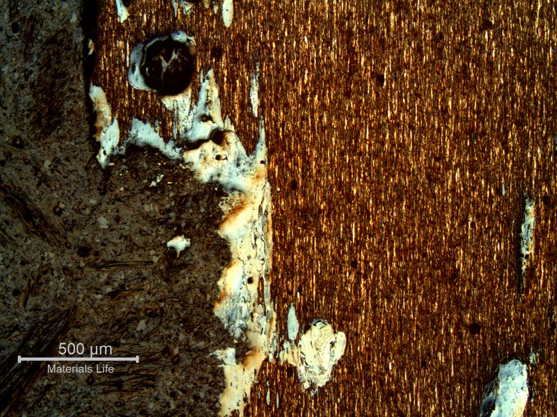Micrography of a typical corroded wire, in a longitudinal section, showing loss of thickness by corrosion. The microstructure of the wire is predominantly pearlitic and the wire presents no coating, in any region.