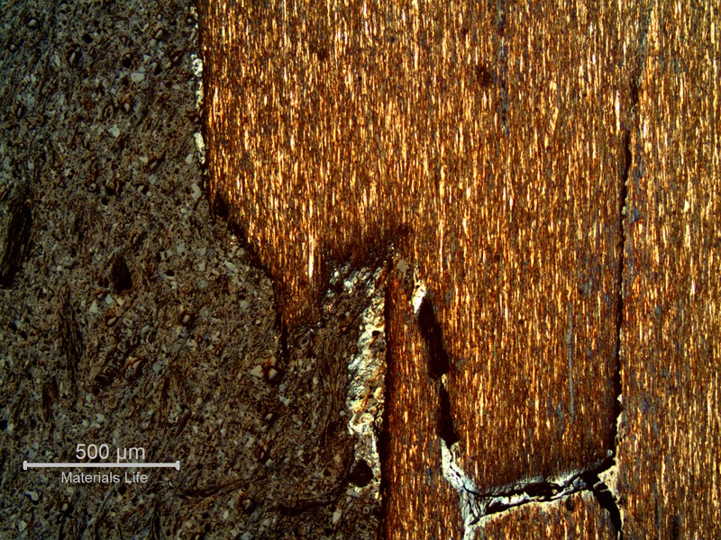 Micrography of a typical corrosion-fatigue mechanism, in a longitudinal section. The loss of material is accelerated a lot by the cracks through the thickness.