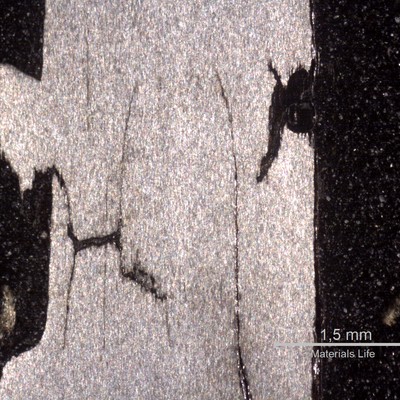 Macrography of one wire that was fully cracked, in a longitudial section. The morphology shows multiple corrosion-fatigue cracking.