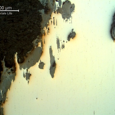 Micrography of a typical corroded wire, in a longitudinal section as polished, showing loss of thickness by corrosion. The loss of material is accelerated by the corrosion in "layers" associated to the strained microstructure.