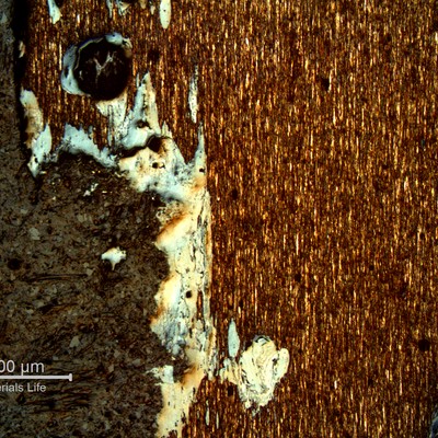 Micrography of a typical corroded wire, in a longitudinal section, showing loss of thickness by corrosion. The microstructure of the wire is predominantly pearlitic and the wire presents no coating, in any region.