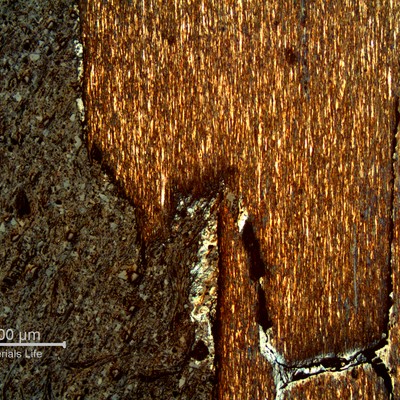 Micrography of a typical corrosion-fatigue mechanism, in a longitudinal section. The loss of material is accelerated a lot by the cracks through the thickness.