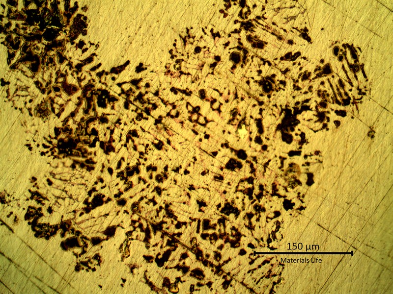 Same region of the previous image but is a higher magnification, showing the metallographic aspect of the polished surface of the (back of the) coaster. Shrinkage with a dendritic morphology typical of a casting structure.