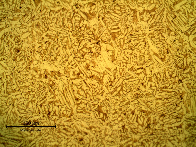 Metallography of the coaster after etching, revealing a casting structure of alpha plus beta phases.   Beta is the dark brown matrix phase and alpha is the dendritic yellow phase.