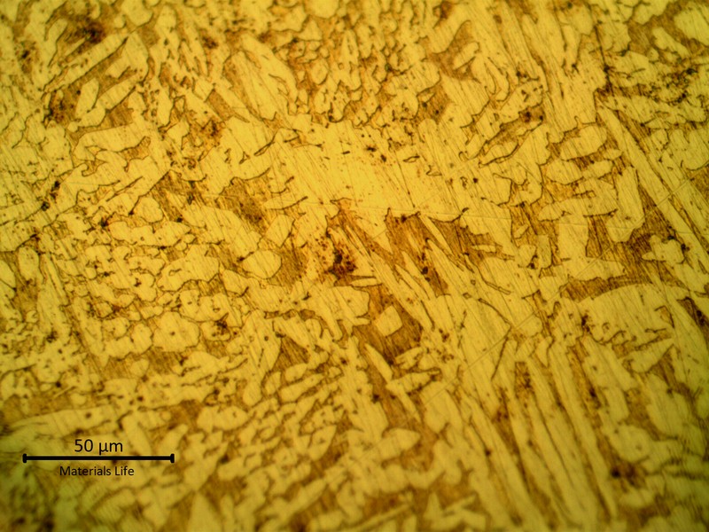 High magnification metallography of the coaster after etching, revealing a casting structure of alpha plus beta phases. Beta is the dark brown matrix phase and alpha is the dendritic yellow phase. The non destructive preparation created a metallographic surface not well polished (full of grinding scratches).