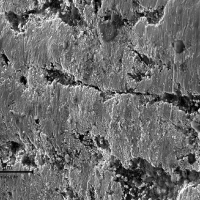 Detail of the groove region, showing a typical casting morphology at the surface: smooth and presenting a dendritic aspect with interdendritic shrinkage. Some dark grey "nodules" with Pb inclusions are also observed.