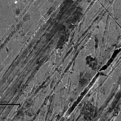 Detail of the flat scratched region of the coaster surface.  The dark grey "nodules" are lead (Pb) base  inclusions.