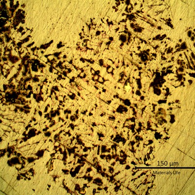 Same region of the previous image but is a higher magnification, showing the metallographic aspect of the polished surface of the (back of the) coaster. Shrinkage with a dendritic morphology typical of a casting structure.