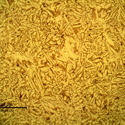 Metallography of the coaster after etching, revealing a casting structure of alpha plus beta phases.   Beta is the dark brown matrix phase and alpha is the dendritic yellow phase.