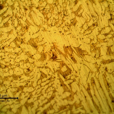 High magnification metallography of the coaster after etching, revealing a casting structure of alpha plus beta phases.   Beta is the dark brown matrix phase and alpha is the dendritic yellow phase. The non destructive preparation created a metallographic surface not well polished (full of grinding scratches).