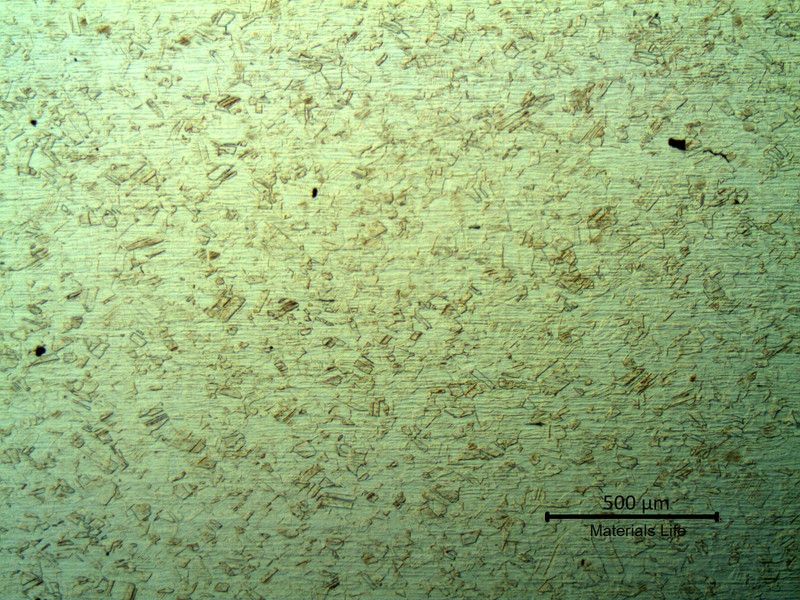 Low magnification micrography, by optical microscope, of the longitudinal section of a damaged bolt, in the center of the thickness. The microstructure is austenitic, free from carbides.