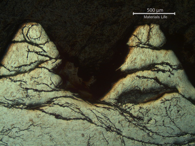 Optical micrography of a longitudinal section of the fractured bolt, at the thread.  The material is austenitic, free from carbides, and the threads were fully cracked by the stress corrosion mechanism.