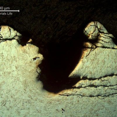 Optical micrography of a longitudinal section of the fractured bolt, at the thread.  The material is austenitic, free from carbides, and the threads were almost removed by the stress corrosion cracks.
