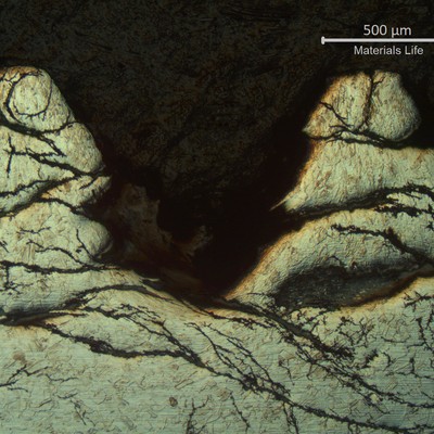 Optical micrography of a longitudinal section of the fractured bolt, at the thread.  The material is austenitic, free from carbides, and the threads were fully cracked by the stress corrosion mechanism.