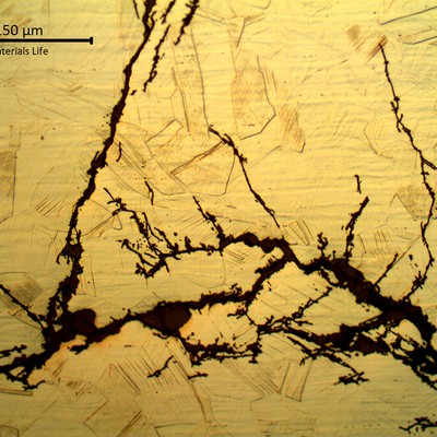 Detailed aspect of the stress corrosion cracks in a longitudinal section of the fractured bolt, under the thread. The microstructure is strain hardened austenite.
