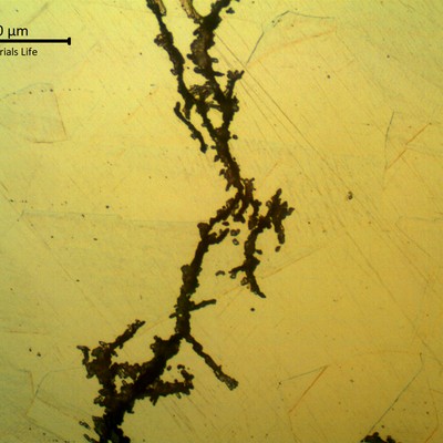 Detailed aspect of the brached transgranular stress corrosion cracks, in a longitudinal section of the fractured bolt. The microstructure is strain hardened austenite.