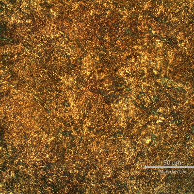 Micrographic detail of the tempered martensitic structure.