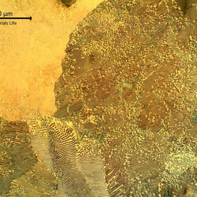 Micrographic detail of the pearlitic microstructure in a region where the structure is not so coarse than in the center of the thickness.