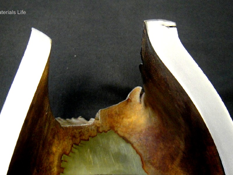Macrography of a longitudinal section of the pipe at the fracture position, as ground, showing in the rigth side the thicker thickness and several secondary cracks opened to the external side of the pipe (created during bending), and in the left side the shearing mechanism and the thinner thickness.
