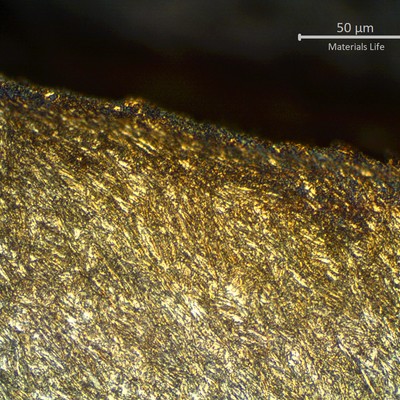 Micrographic detail of sheared pipe, showing strong plastic deformation at the fracture.  The structure shows the shear effect at the fracture.