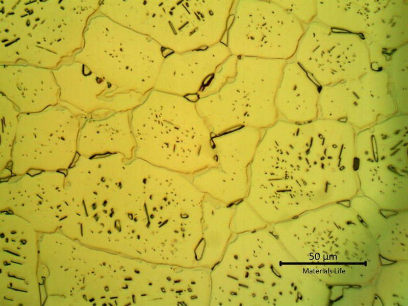 SAMPLE 1 AT 1 mm THICKNESS - Micrographic detail of the austenite with secondary precipitation. This oxalic acid electrolytic etch is revealing the integranular and transgranular (or intragranular) precipitation.  In the grain boundaries it is possible to see: 1) a continuous network of carbide precipitation and 2) isolated islands of sigma phase.  In the middle of the grains there are rounded and neddles like carbides.